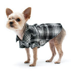 Flannel Button Down Dog Shirt, Pet Clothes, Furbabeez, [tag]