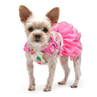 Flower Flounce Dog Dress, Pet Clothes, Furbabeez, [tag]