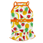 Fruitlicious Sun Dog Dress Pet Clothes DOGO 