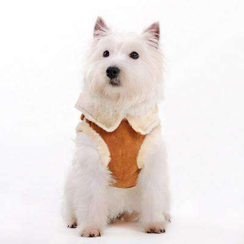 Furry Winter Harness Coat - Brown, Pet Clothes, Furbabeez, [tag]