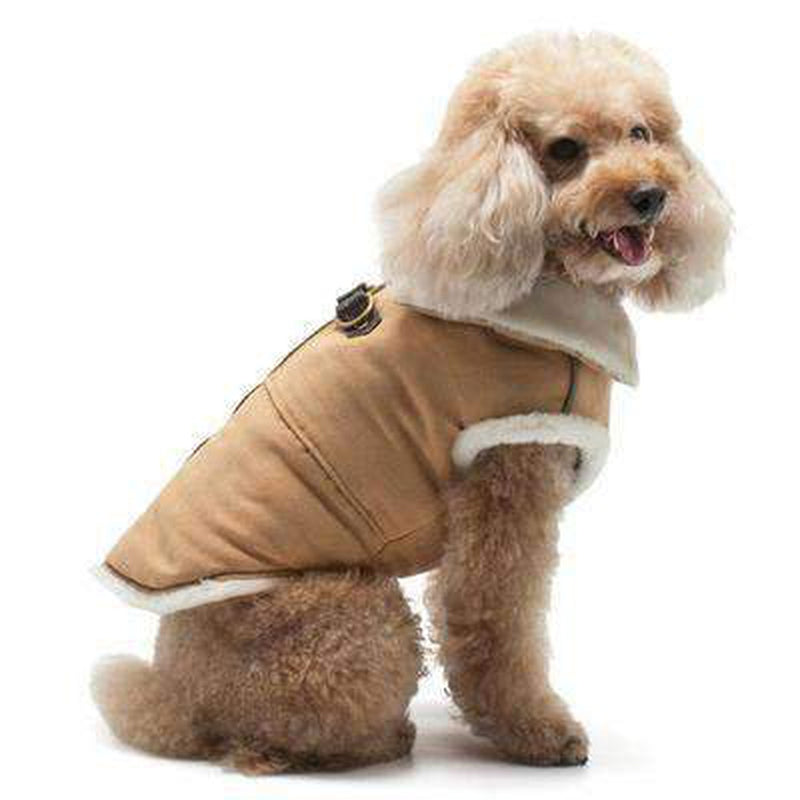 Furry Runner Coat Brown, Pet Clothes, Furbabeez, [tag]