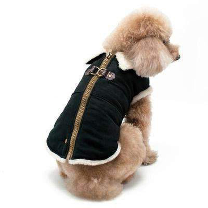 Furry Runner Coat Black, Pet Clothes, Furbabeez, [tag]