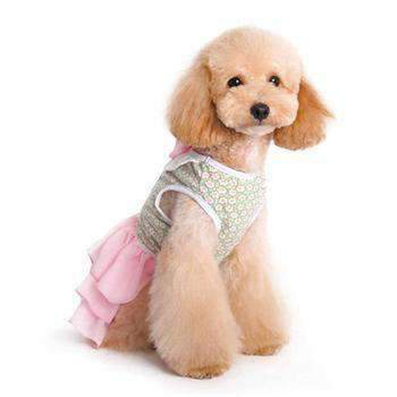 Gatsby Girl Dog Dress, Pet Clothes, Furbabeez, [tag]