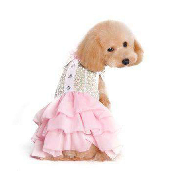 Gatsby Girl Dog Dress, Pet Clothes, Furbabeez, [tag]
