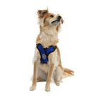 Gooby Comfort X Step-In Dog Harness, Collars and Leads, Furbabeez, [tag]