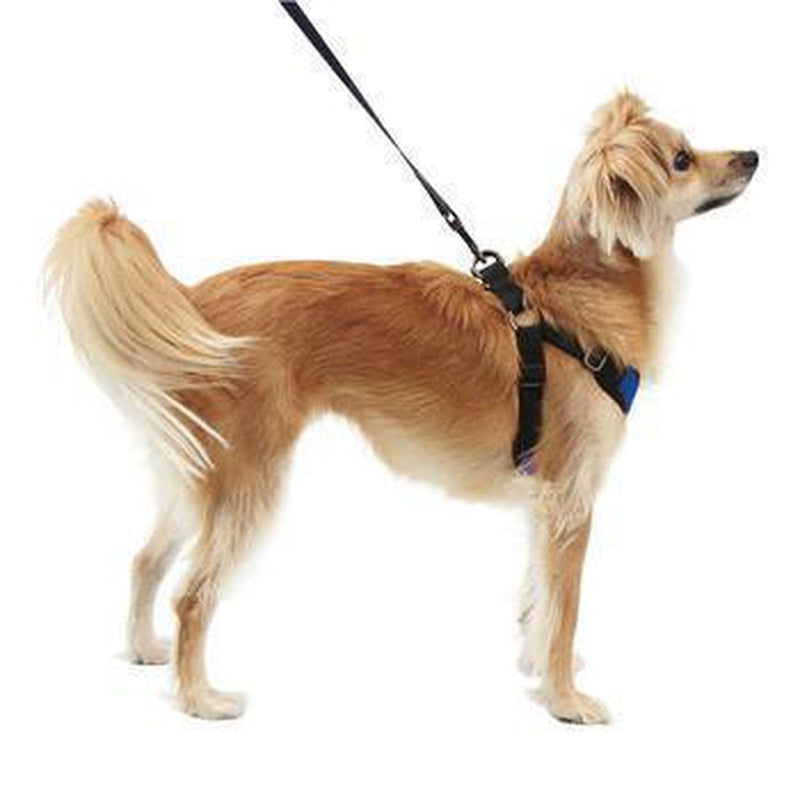 Gooby Comfort X Step-In Dog Harness, Collars and Leads, Furbabeez, [tag]