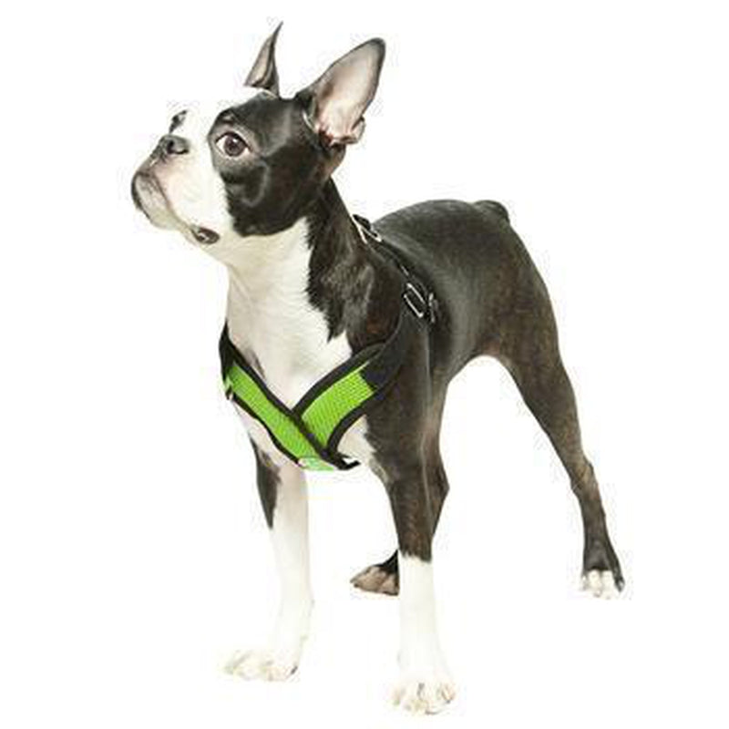 Gooby Comfort X Step-In Dog Harness, Collars and Leads, Furbabeez, [tag]