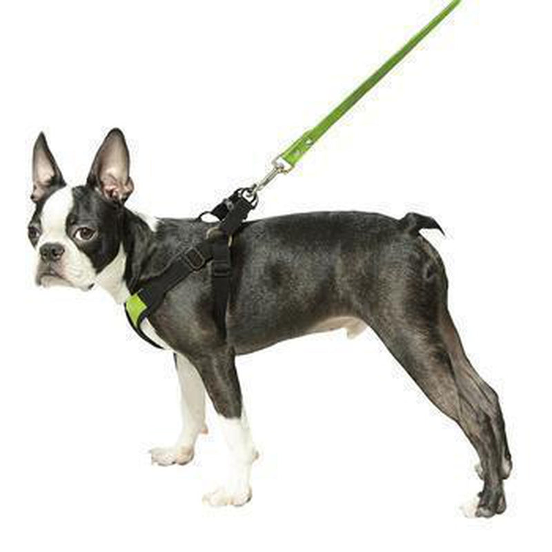 Gooby Comfort X Step-In Dog Harness, Collars and Leads, Furbabeez, [tag]