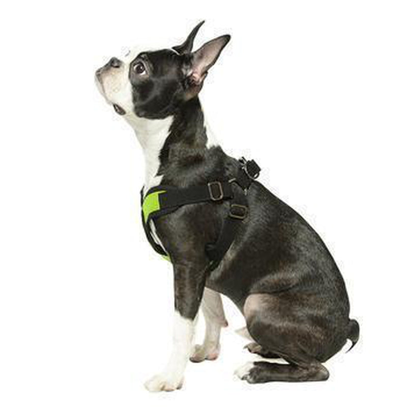 Gooby Comfort X Step-In Dog Harness, Collars and Leads, Furbabeez, [tag]