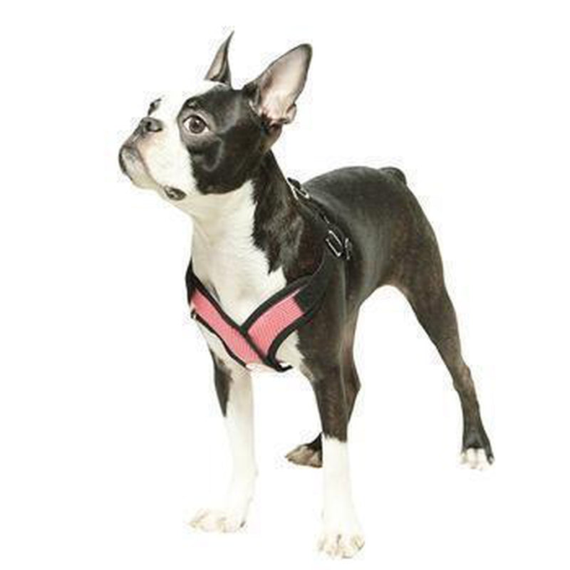 Gooby Comfort X Step-In Dog Harness, Collars and Leads, Furbabeez, [tag]