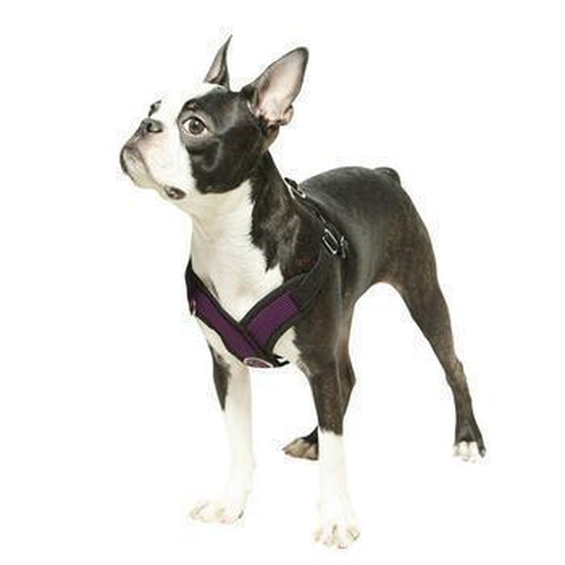 Gooby Comfort X Step-In Dog Harness, Collars and Leads, Furbabeez, [tag]