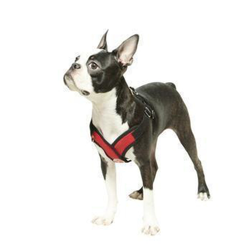 Gooby Comfort X Step-In Dog Harness, Collars and Leads, Furbabeez, [tag]