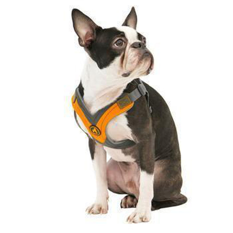 Gooby Trekking Step-in Memory Foam Dog Harness, Collars and Leads, Furbabeez, [tag]