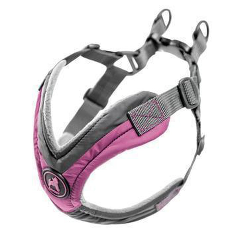 Gooby trekking best sale harness