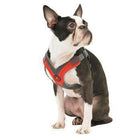 Gooby Trekking Step-in Memory Foam Dog Harness, Collars and Leads, Furbabeez, [tag]