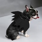 Halloween Dog Bat Wings Costume, Pet Clothes, Furbabeez, [tag]
