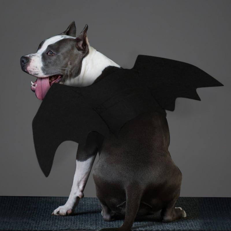 Halloween Dog Bat Wings Costume, Pet Clothes, Furbabeez, [tag]