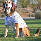 Hawaiian Camp Shirt - Anchors Away, Pet Clothes, Furbabeez, [tag]