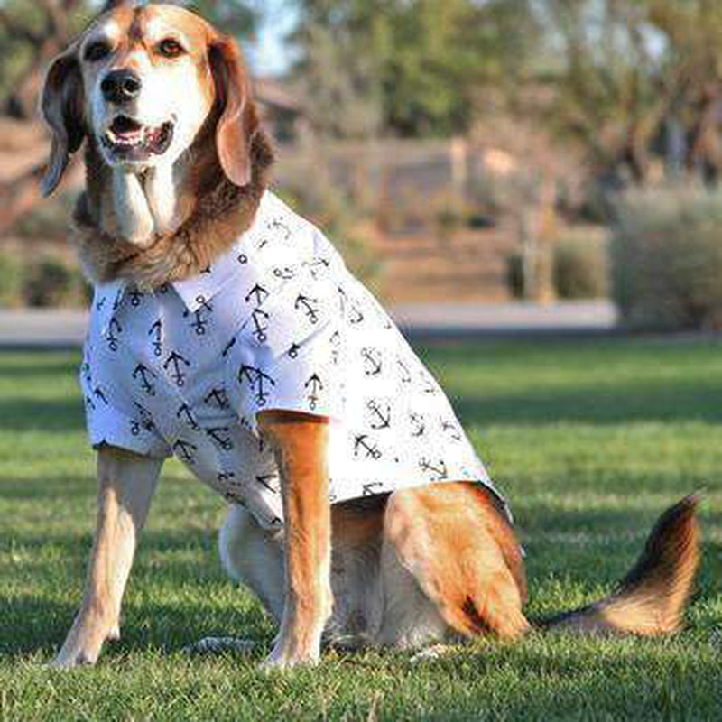 Hawaiian Camp Shirt - Anchors Away, Pet Clothes, Furbabeez, [tag]