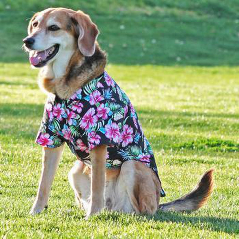 Hawaiian Dog Camp Shirt - Paradise Nights, Pet Clothes, Furbabeez, [tag]