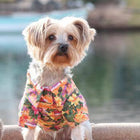 Hawaiian Dog Camp Shirt - Sunset Hibiscus, Pet Clothes, Furbabeez, [tag]