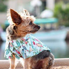 Hawaiian Custom Dog Shirt - Surfboards and Palms, Pet Clothes, Furbabeez, [tag]