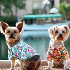 Hawaiian Custom Dog Shirt - Surfboards and Palms, Pet Clothes, Furbabeez, [tag]