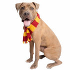 Hipster Wizard Dog Scarf Costume Pet Accessories Pet Krewe 