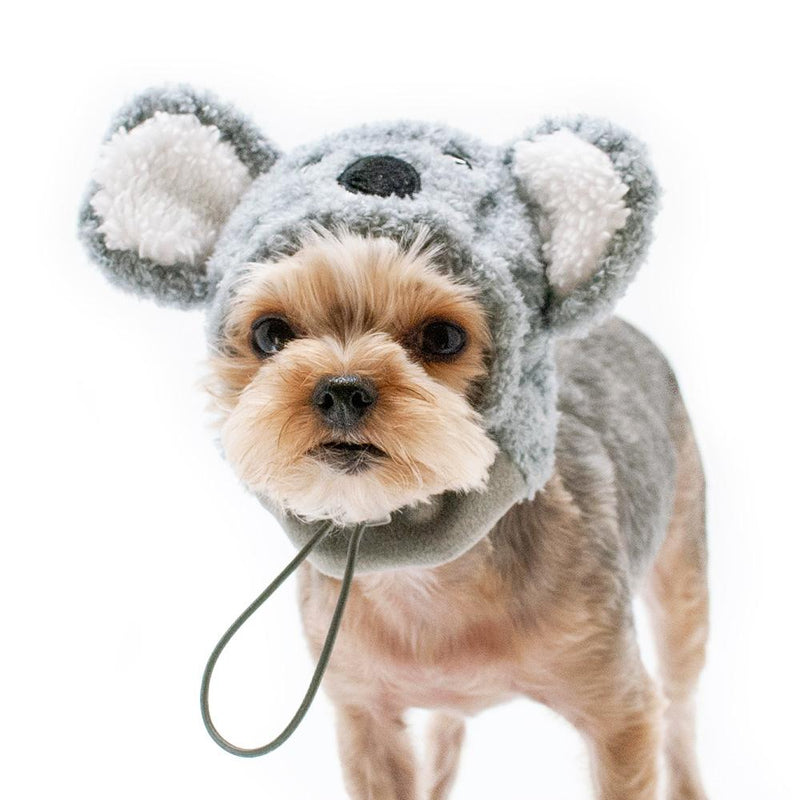 Koala Dog Hat, Pet Accessories, Furbabeez, [tag]