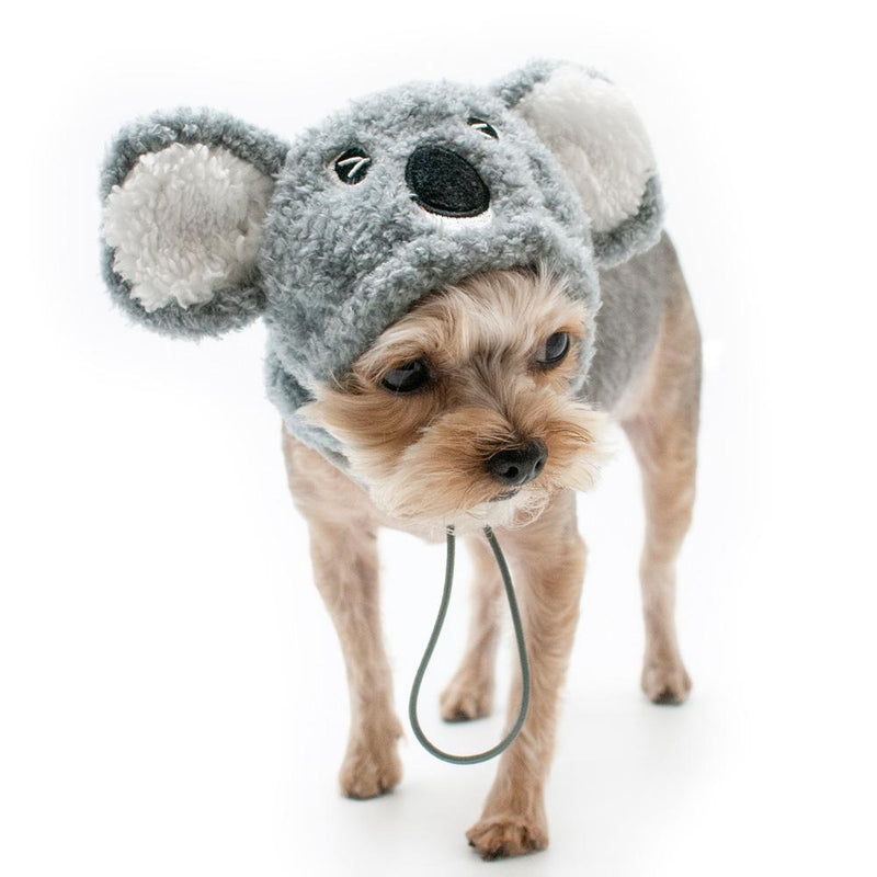 Koala Dog Hat, Pet Accessories, Furbabeez, [tag]