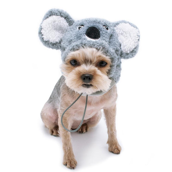 Koala Dog Hat, Pet Accessories, Furbabeez, [tag]