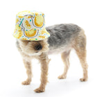 Lemonade Bucket Dog Hat Pet hat DOGO 