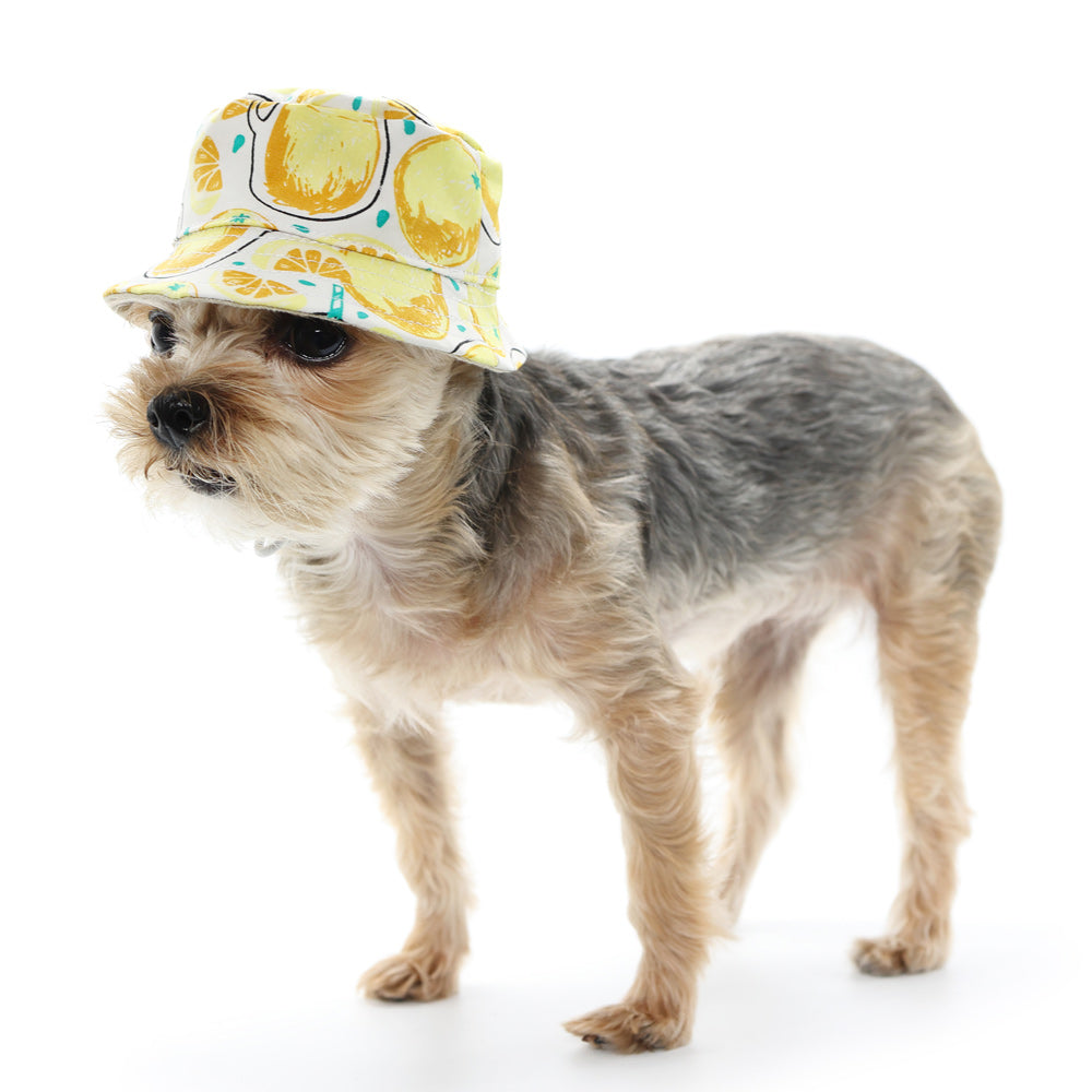 Lemonade Bucket Dog Hat – Furbabeez