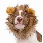 Lion Mane Costume for Small Dogs Pet Accessories Pet Krewe 