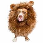 Lion Mane Costume with ears for Medium and Big Dogs Pet Accessories Pet Krewe 