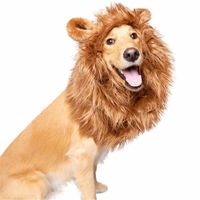 Lion Mane Costume with ears for Medium and Big Dogs Pet Accessories Pet Krewe M/L 