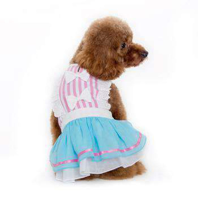 Little Alice Dog Dress, Pet Clothes, Furbabeez, [tag]