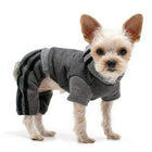 Lounge Tracksuit, Pet Clothes, Furbabeez, [tag]