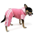 Lounge Tracksuit, Pet Clothes, Furbabeez, [tag]