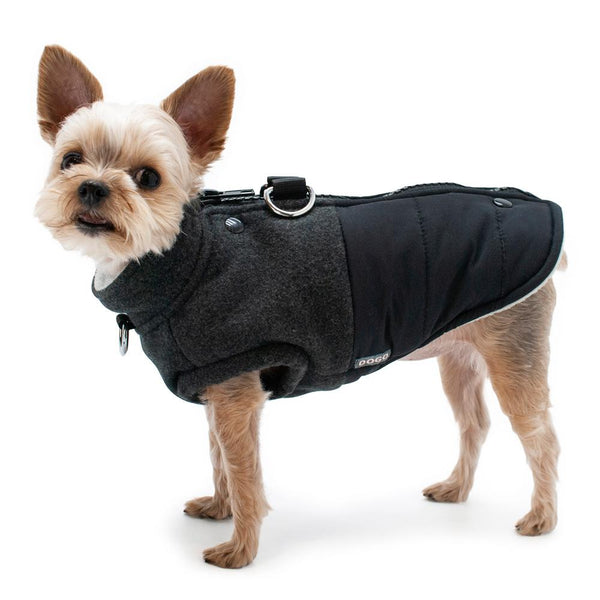 Midtown Runner Dog Coat, Pet Clothes, Furbabeez, [tag]