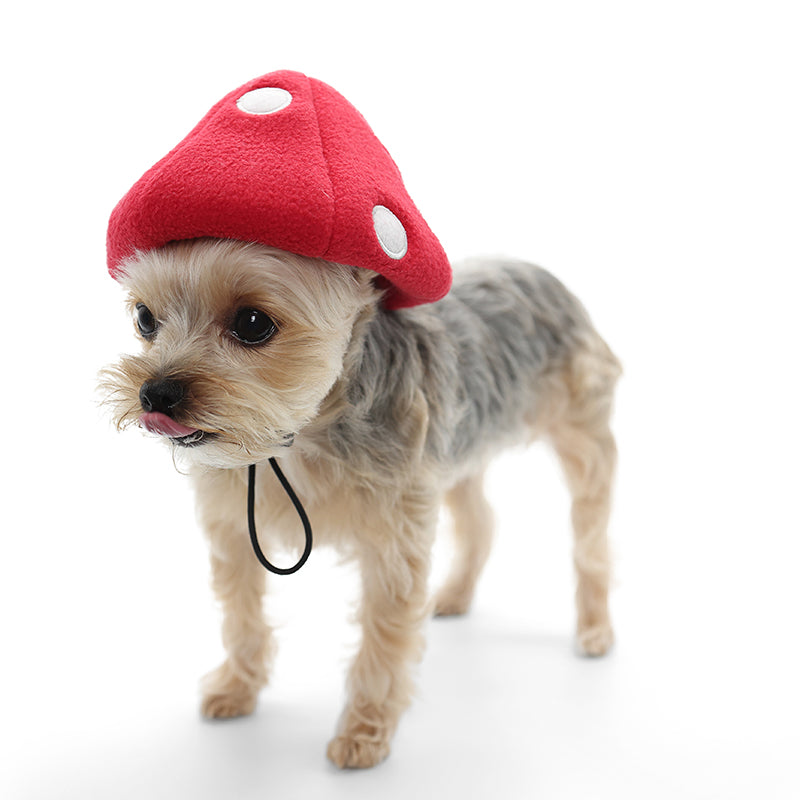 Mushroom Dog Hat Pet hat DOGO 