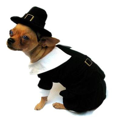 Pilgrim Boy Dog Costume Pet Clothes Puppe Love 