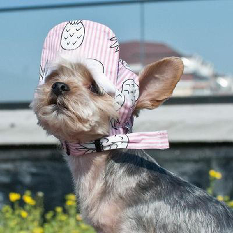 Pink Pineapple Dog Hat, Pet Accessories, Furbabeez, [tag]