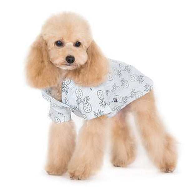 Pineapple Island Dog Shirt - Light Blue, Pet Clothes, Furbabeez, [tag]