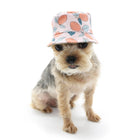 Pink Lemon Bucket Dog Hat Pet hat DOGO 