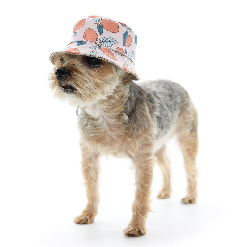 Pink Lemon Bucket Dog Hat Pet hat DOGO 