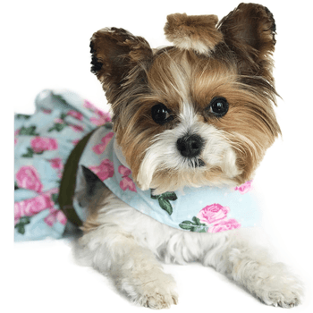 Pink Rose Harness Dress with Matching Leash Pet Clothes Doggie Design 