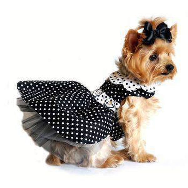 Polka Dot Dog Dress - Black and White, Pet Clothes, Furbabeez, [tag]