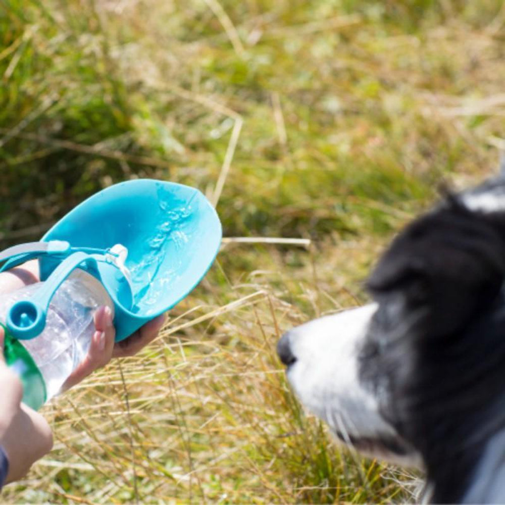 Portable Dog Water Bottle - Expandable Silicone – Furbabeez