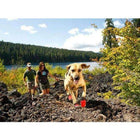 Hiking Wear-Resistant Dog Boots, Pet Clothes, Furbabeez, [tag]